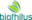 biofhitus-e1739903293854.png